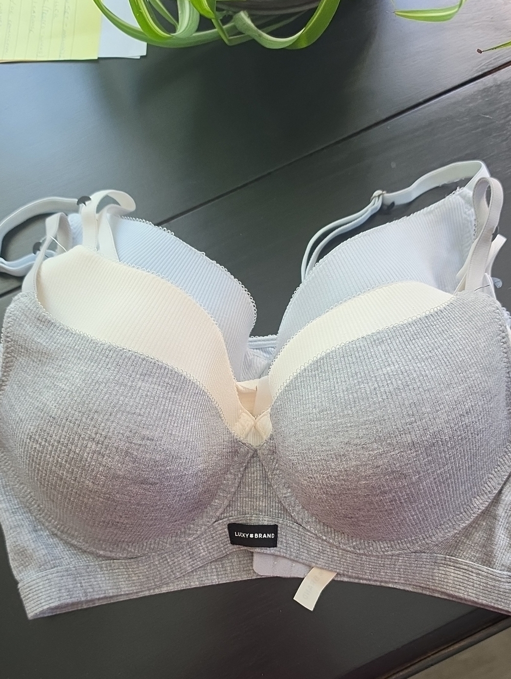 Lucky Brand 3 T-Shirt Bra Set New 36C